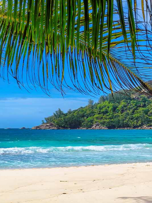 Windstar Cruises